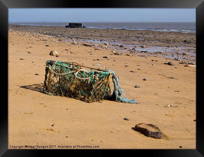 Washed Up Lobster Pot Framed Print by Nigel Bangert