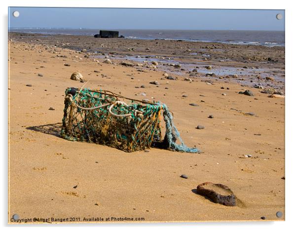 Washed Up Lobster Pot Acrylic by Nigel Bangert