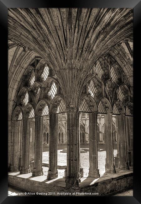 Canterbury Cathedral Framed Print by Alice Gosling