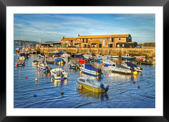 Lyme Regis Harbour   Framed Mounted Print by Darren Galpin
