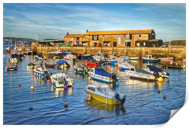 Lyme Regis Harbour   Print by Darren Galpin