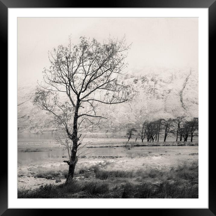 Loch Etive Tree Framed Mounted Print by Dave Bowman