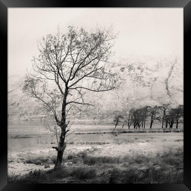 Loch Etive Tree Framed Print by Dave Bowman