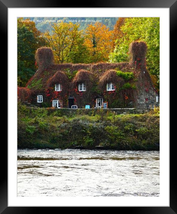 Autumn colours at Llanrwst tearoom Framed Mounted Print by Mark Chesters