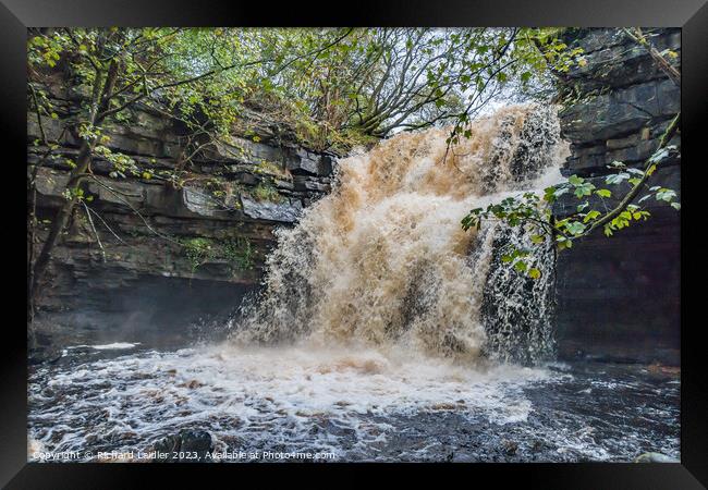 Summerhill Force Waterfall in Spate after Storm Babet Oct 2023 Framed Print by Richard Laidler