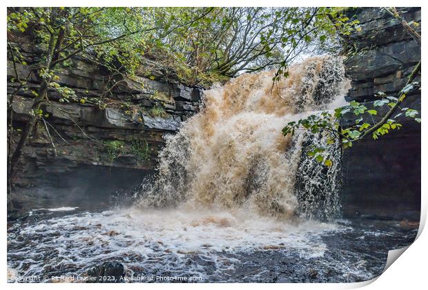 Summerhill Force Waterfall in Spate after Storm Babet Oct 2023 Print by Richard Laidler