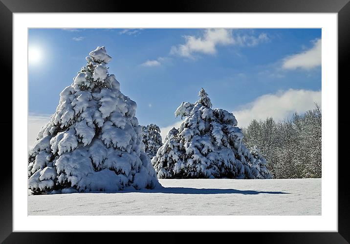 Winter trees Framed Mounted Print by Nataliya Dubrovskaya