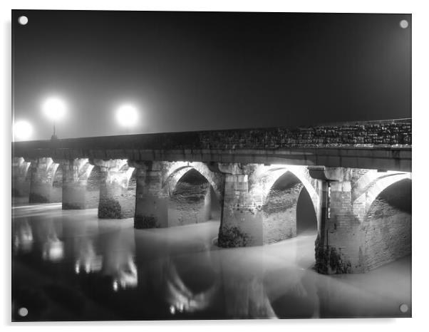 Bideford Long Bridge at Dawn Acrylic by Tony Twyman