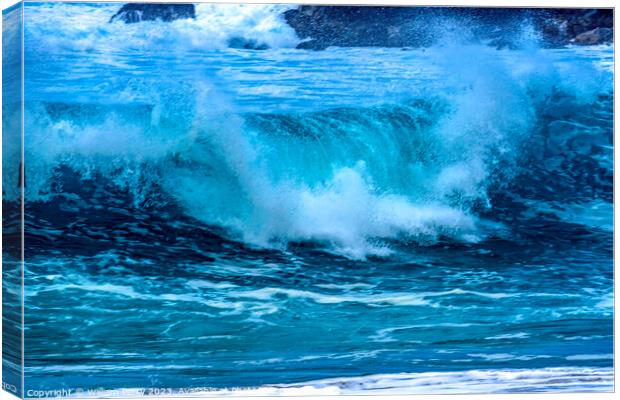 Colorful Large Wave Waimea Bay North Shore Oahu Hawaii Canvas Print by William Perry
