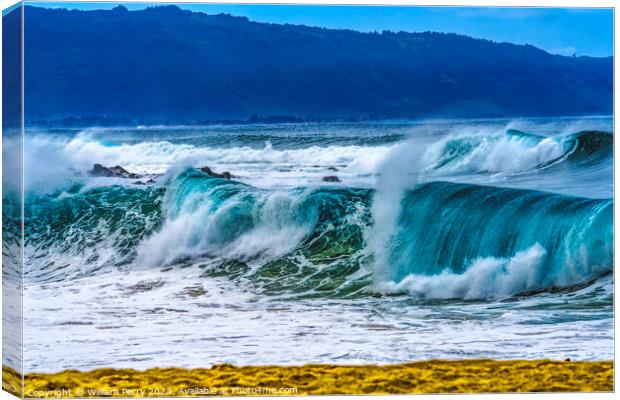 Colorful Beach Large Wave Waimea Bay North Shore Oahu Hawaii Canvas Print by William Perry