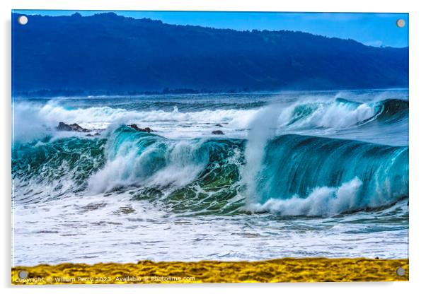 Colorful Beach Large Wave Waimea Bay North Shore Oahu Hawaii Acrylic by William Perry