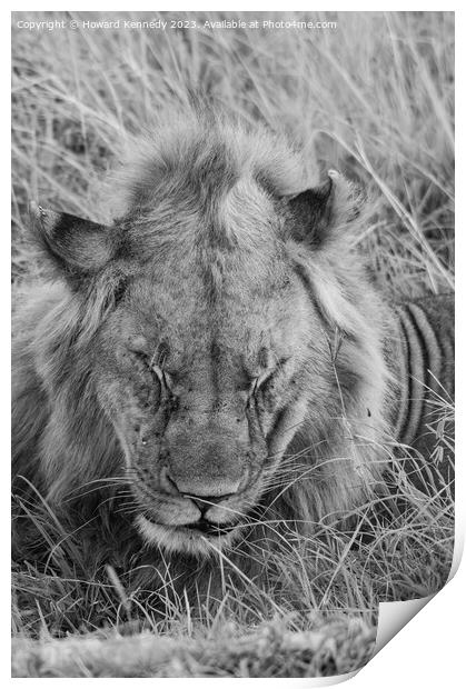 Let Sleeping Lions Lie in black and white Print by Howard Kennedy