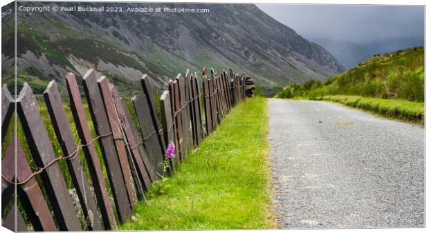 Fence Leading up the Valley in Snowdonia pano Canvas Print by Pearl Bucknall