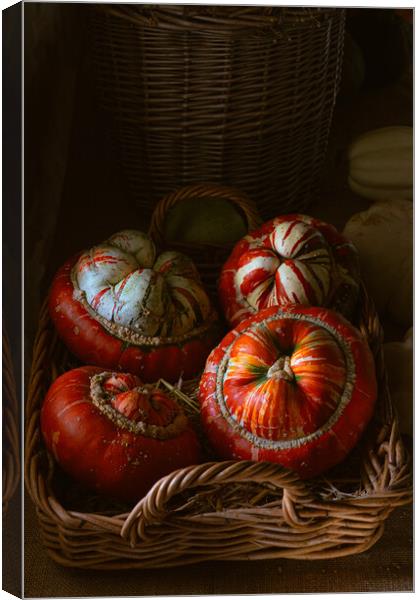 Pumpkin display Canvas Print by Richard Downs