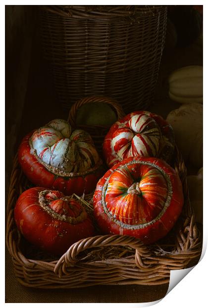 Pumpkin display Print by Richard Downs