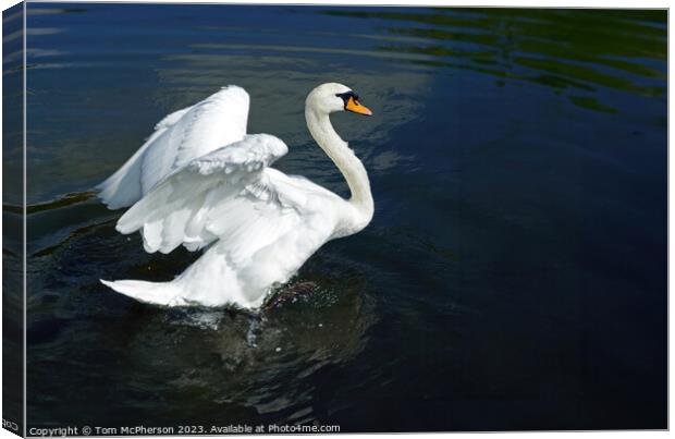 Ride a White Swan Canvas Print by Tom McPherson