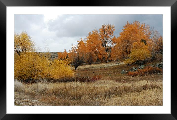 Fall in Montana Framed Mounted Print by Larry Stolle