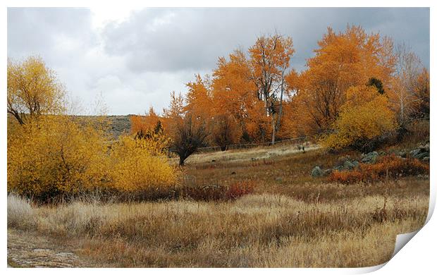 Fall in Montana Print by Larry Stolle