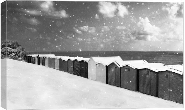 Pretty Beach huts in the snow at Frinton  Canvas Print by Paula Tracy