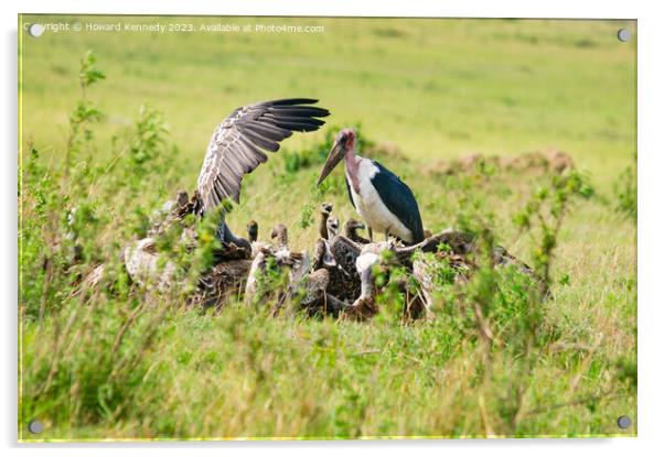 Vultures on a kill Acrylic by Howard Kennedy