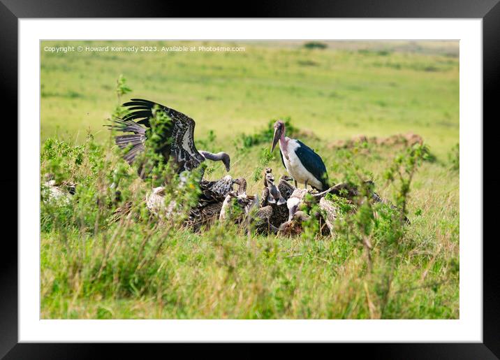 Vultures squabbling over a kill Framed Mounted Print by Howard Kennedy