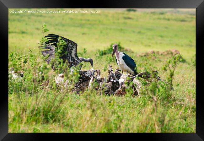 Vultures squabbling over a kill Framed Print by Howard Kennedy