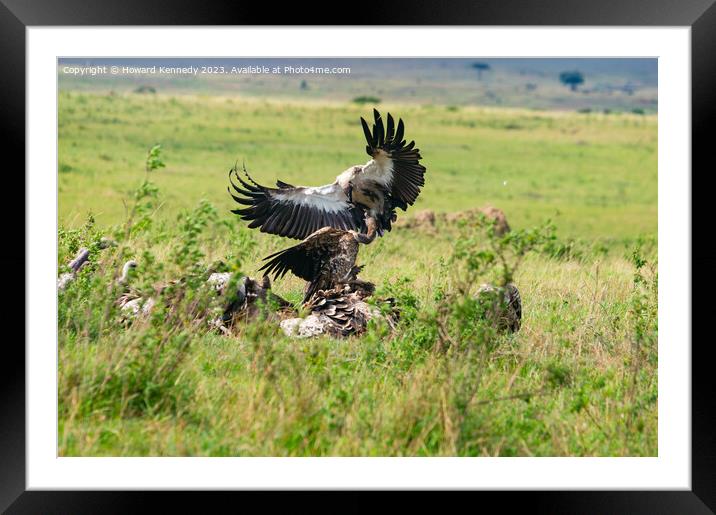 Vultures fighting over a kill Framed Mounted Print by Howard Kennedy