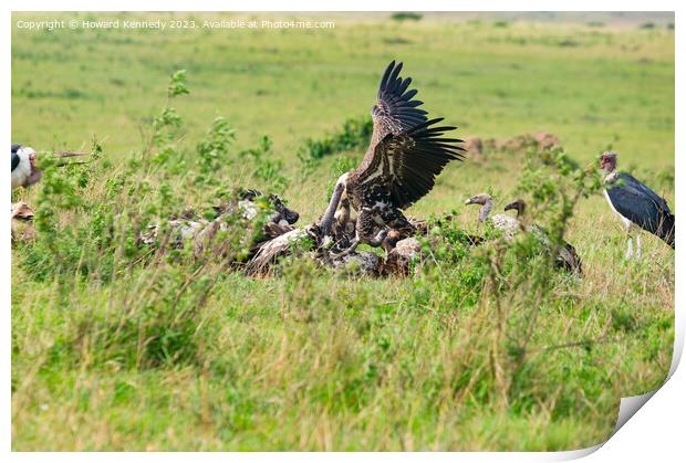 Vultures fighting over a wildebeest kill Print by Howard Kennedy