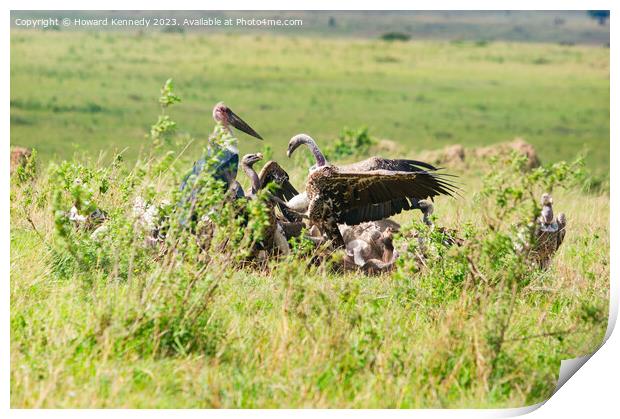 Vultures squabbling over a Wildebeest kill Print by Howard Kennedy