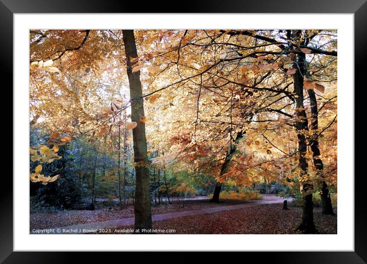 Forever Autumn Framed Mounted Print by RJ Bowler