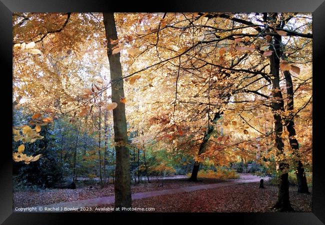 Forever Autumn Framed Print by RJ Bowler