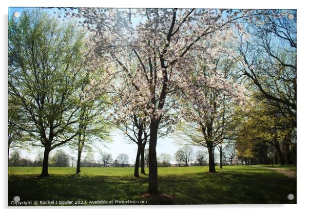 Spring Blossom Acrylic by RJ Bowler