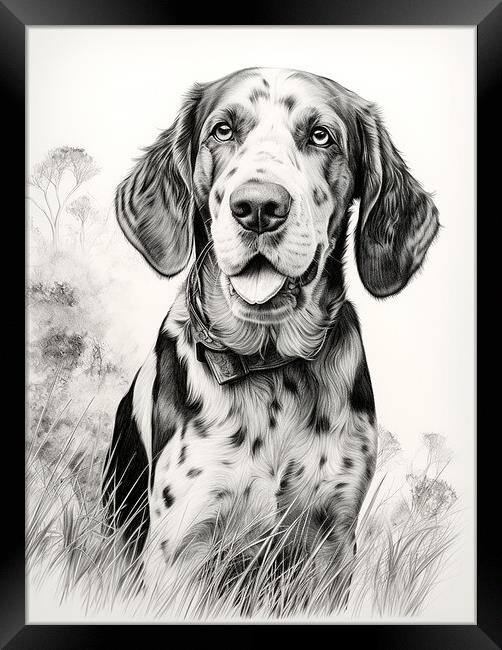Bluetick Coonhound Pencil Drawing Framed Print by K9 Art