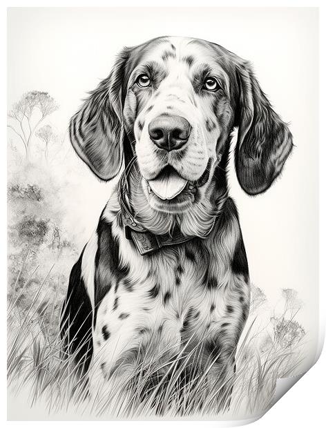 Bluetick Coonhound Pencil Drawing Print by K9 Art