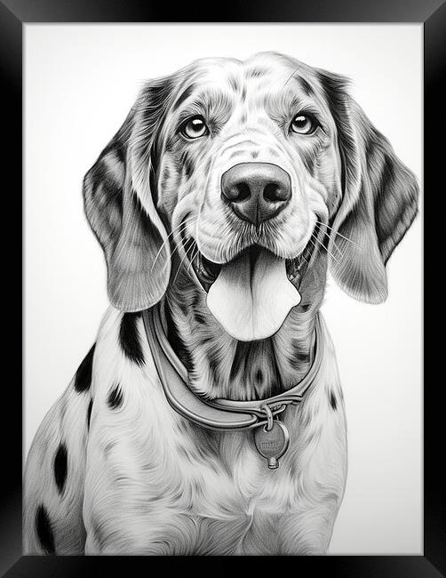 Bluetick Coonhound Pencil Drawing Framed Print by K9 Art