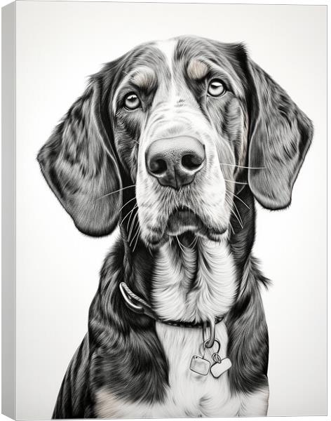 Bluetick Coonhound Pencil Drawing Canvas Print by K9 Art
