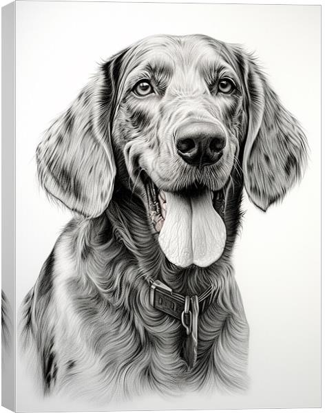Bluetick Coonhound Pencil Drawing Canvas Print by K9 Art