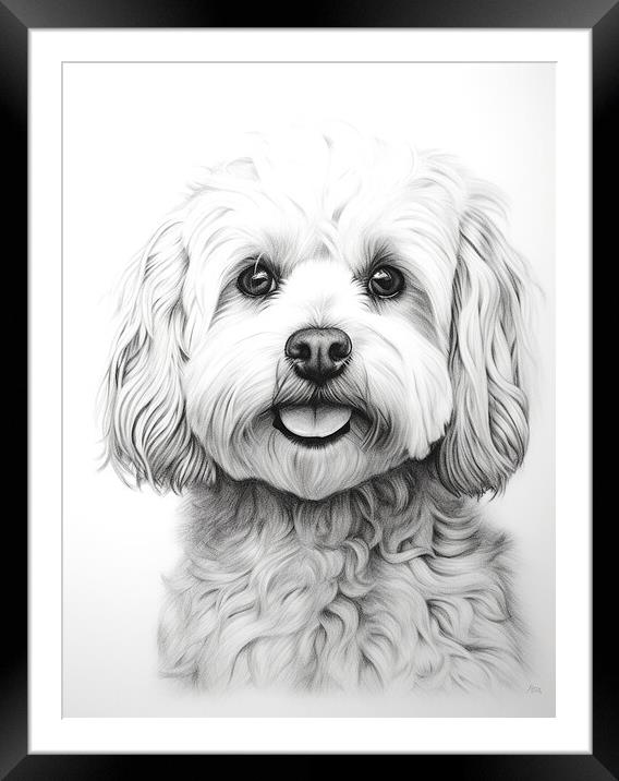 Bolognese Pencil Drawing Framed Mounted Print by K9 Art