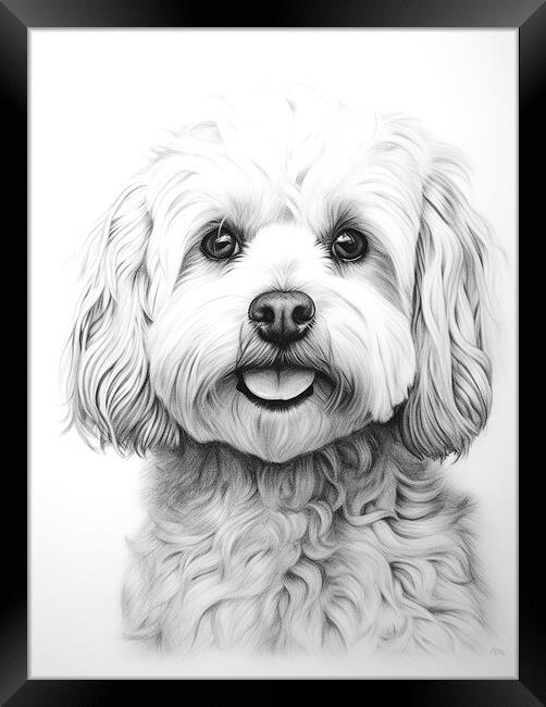 Bolognese Pencil Drawing Framed Print by K9 Art