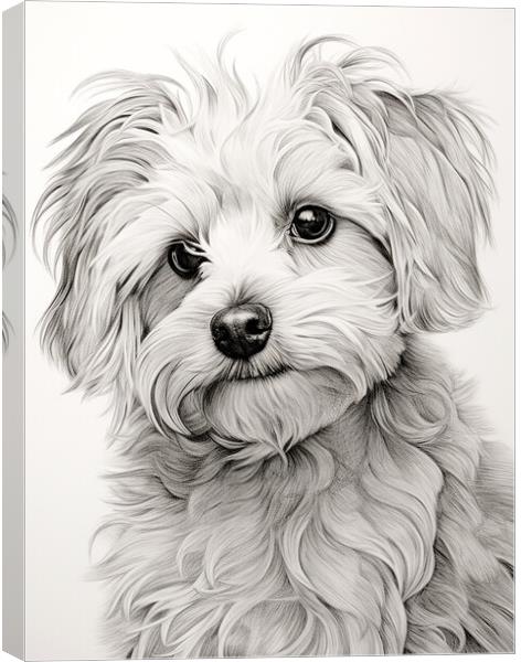 Bolognese Pencil Drawing Canvas Print by K9 Art