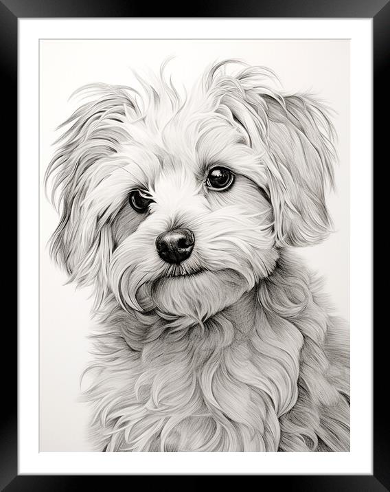Bolognese Pencil Drawing Framed Mounted Print by K9 Art