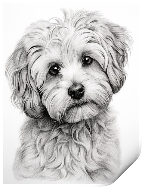 Bolognese Pencil Drawing Print by K9 Art