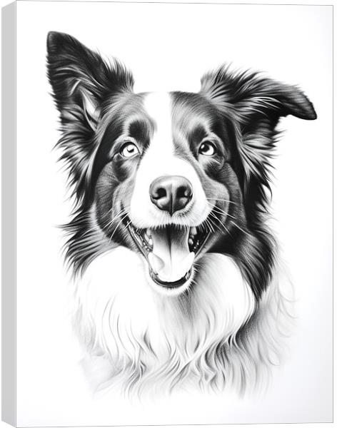 Pencil Drawing Border Collie Canvas Print by K9 Art