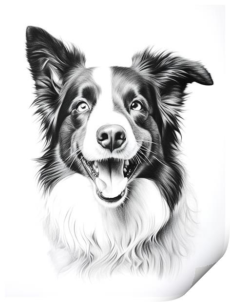 Pencil Drawing Border Collie Print by K9 Art