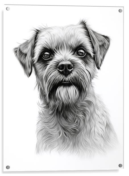Pencil Drawing Border Terrier Acrylic by K9 Art