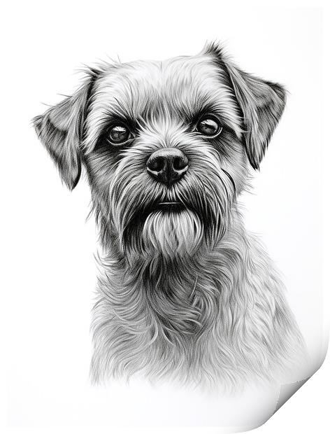 Pencil Drawing Border Terrier Print by K9 Art