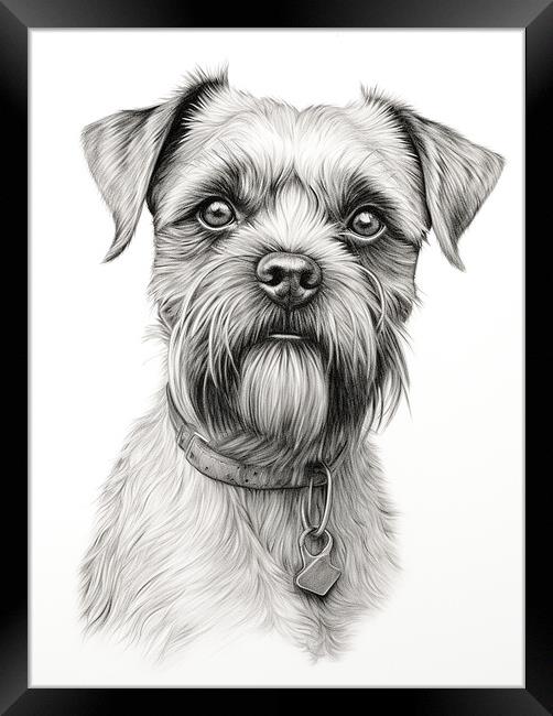 Pencil Drawing Border Terrier Framed Print by K9 Art