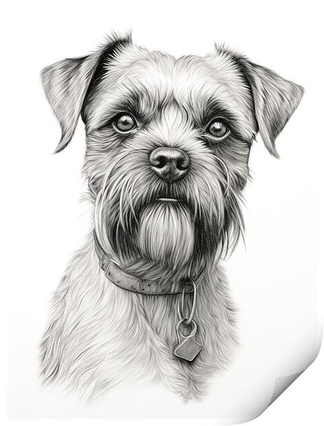 Pencil Drawing Border Terrier Print by K9 Art