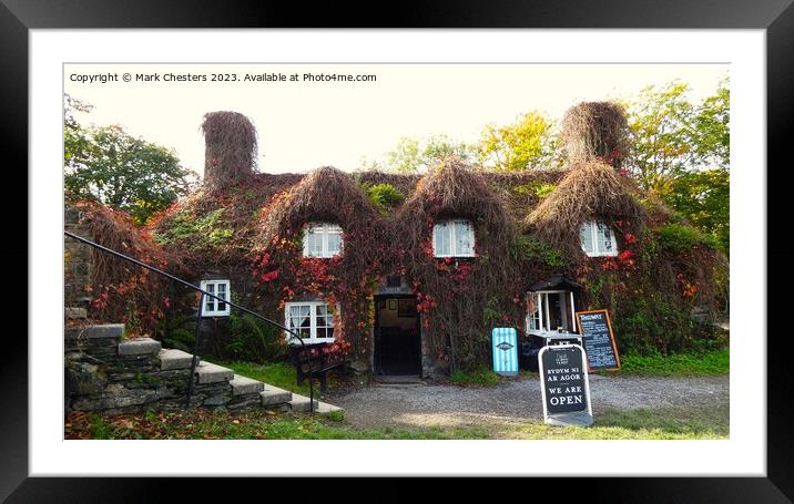 Tu Hwnt I'r Bont tea room 2 Framed Mounted Print by Mark Chesters