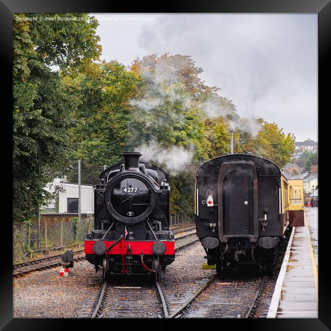 Paignton and Dartmouth Steam Railway Trains Framed Print by Pearl Bucknall